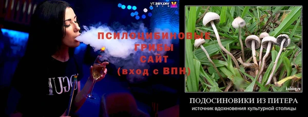 ешки Протвино