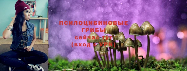 амфетамин Пролетарск