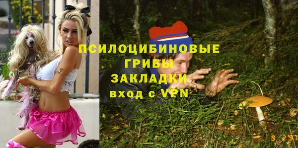 хмурый Приозерск