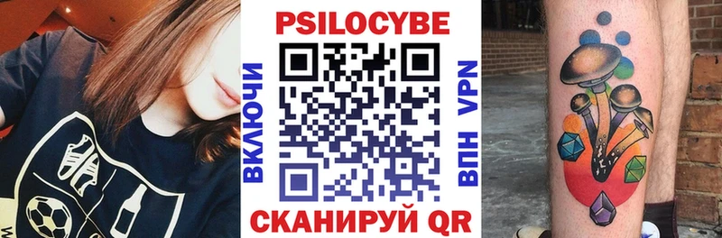 где можно купить   Бахчисарай  Псилоцибиновые грибы прущие грибы 