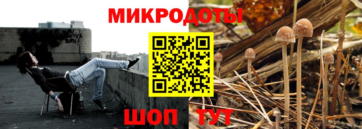 Псилоцибиновые грибы Magic Shrooms  Псилоцибиновые грибы Cubensis  Бахчисарай 